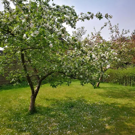 Ferienwohnung Sun Appartement Grossenwiehe
