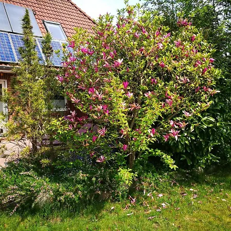 Ferienwohnung Sun Appartement Grossenwiehe